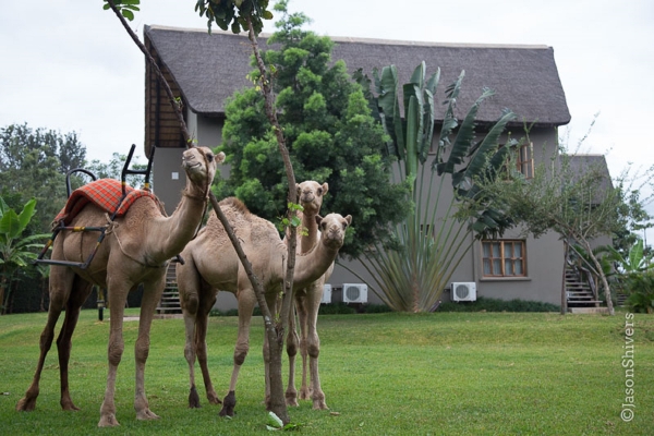Hotel Weru Weru River Lodge (Moshi)